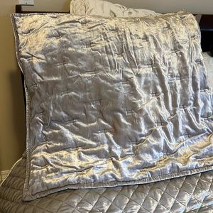 West Elm Silver Velvet Euro Shams